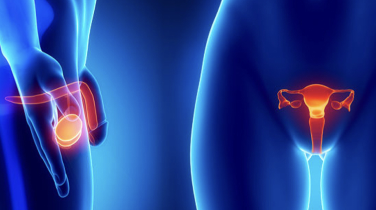 precio del tratamiento de Infecciones de Transmisión Sexual en Merida