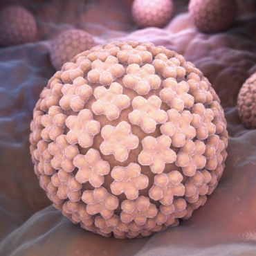 como eliminar las Verrugas Genitales en Merida