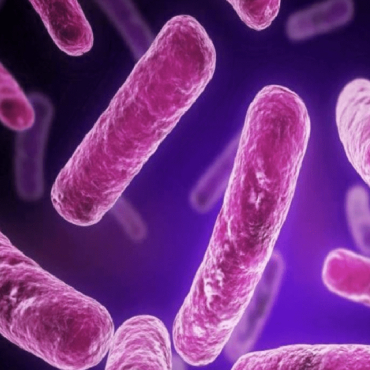 Infecciones de Transmisión Sexual en Merida